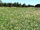 Dubbo NSW 2830