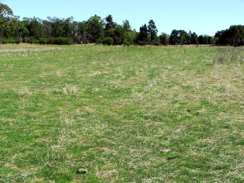 Dubbo NSW 2830