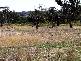 Dubbo NSW 2830