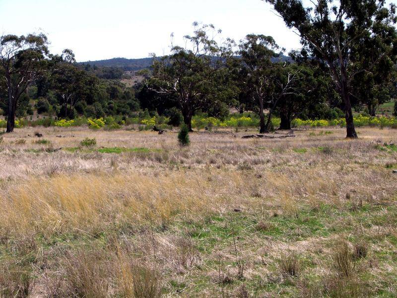 Dubbo NSW 2830