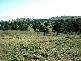 45 MINUTES NORTH, Orange NSW 2800