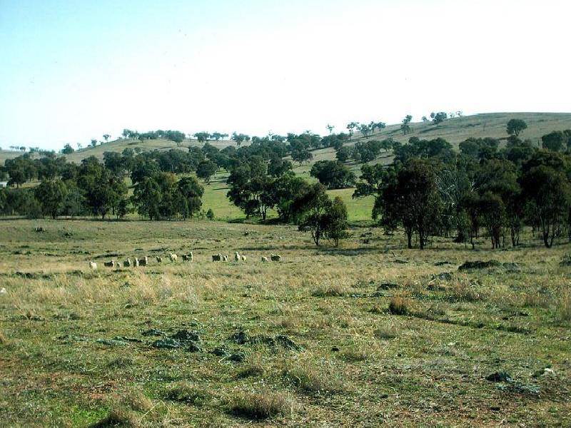 45 MINUTES NORTH, Orange NSW 2800