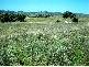 45 MINUTES NORTH, Orange NSW 2800