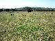 45 MINUTES NORTH, Orange NSW 2800