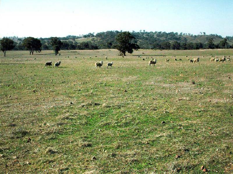 45 MINUTES NORTH, Orange NSW 2800