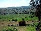 554 EDINBORO LANE, Cargo NSW 2800