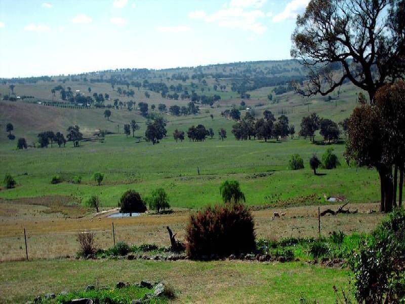 554 EDINBORO LANE, Cargo NSW 2800