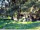 554 EDINBORO LANE, Cargo NSW 2800