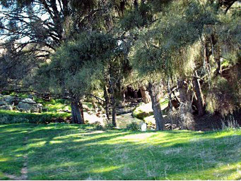 554 EDINBORO LANE, Cargo NSW 2800