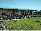 554 EDINBORO LANE, Cargo NSW 2800