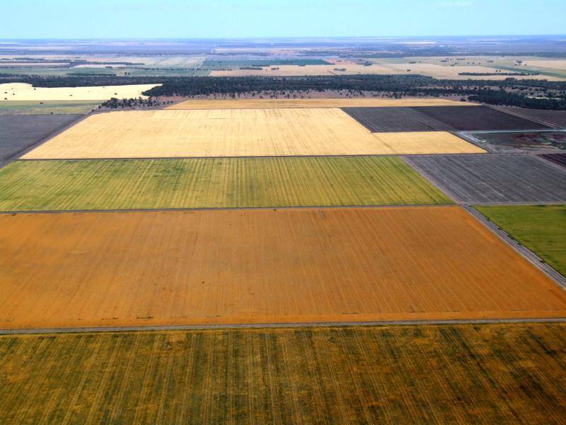 LIVINGSTON FARM, Moree NSW 2400