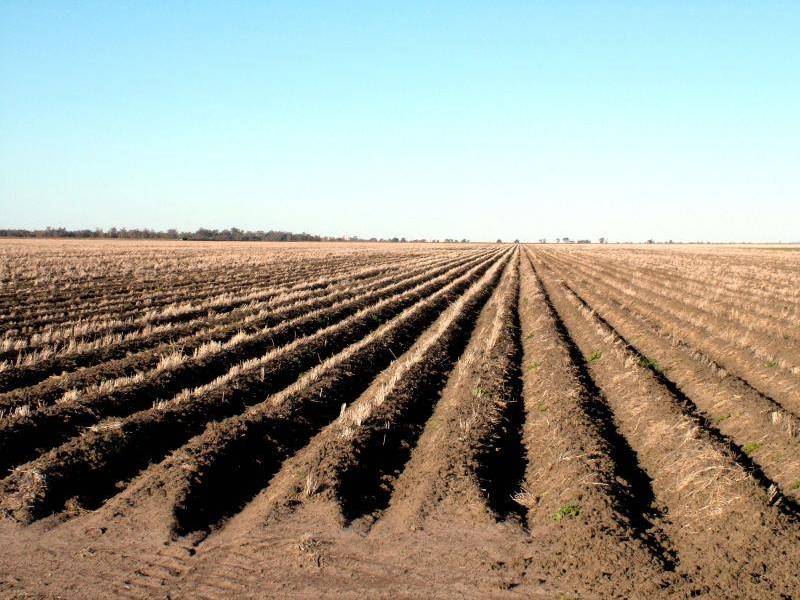 LIVINGSTON FARM, Moree NSW 2400