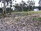 324 MULWAREE DRIVE, Tallong NSW 2579
