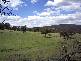 Currawang NSW 2580