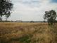 CHEDDINGTON, Warrumbungle NSW 2828