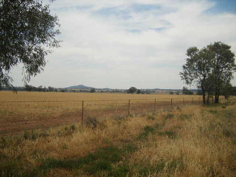 CHEDDINGTON, Warrumbungle NSW 2828