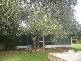 CHEDDINGTON, Warrumbungle NSW 2828