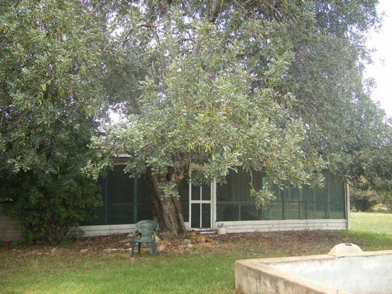 CHEDDINGTON, Warrumbungle NSW 2828