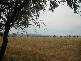 CHEDDINGTON, Warrumbungle NSW 2828