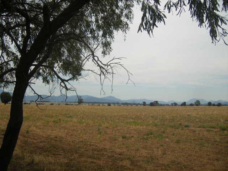 CHEDDINGTON, Warrumbungle NSW 2828