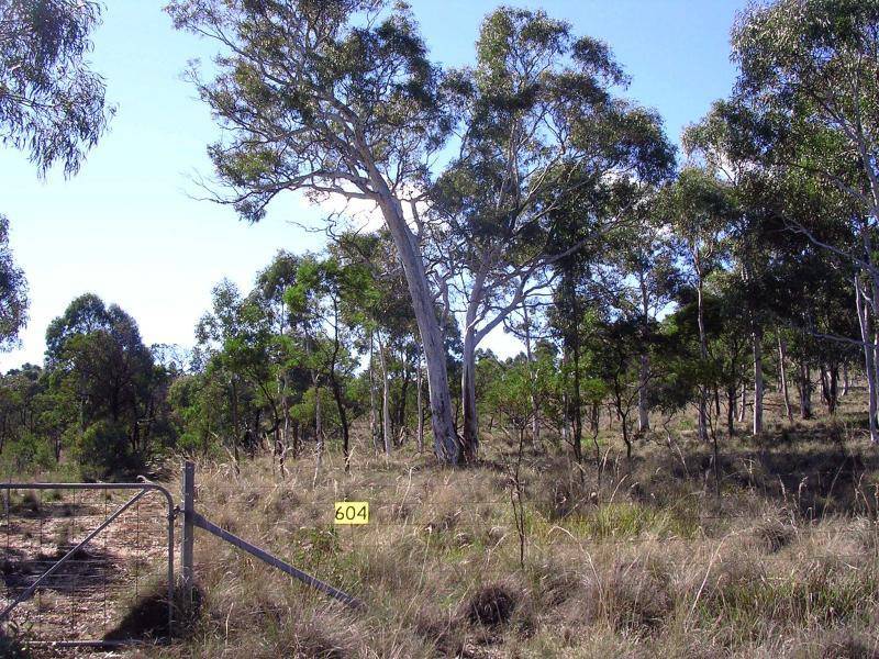 604 LUCKY PASS ROAD, Currawang NSW 2580