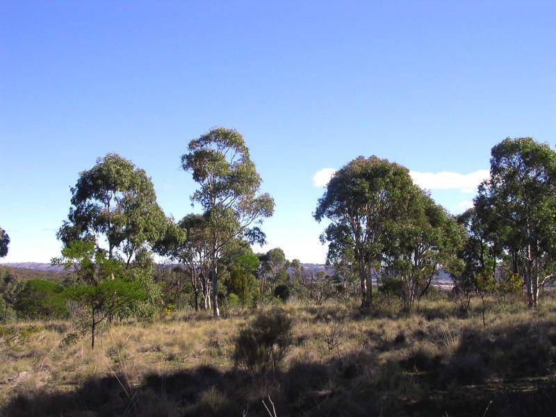 604 LUCKY PASS ROAD, Currawang NSW 2580