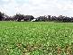 Inverell NSW 2360