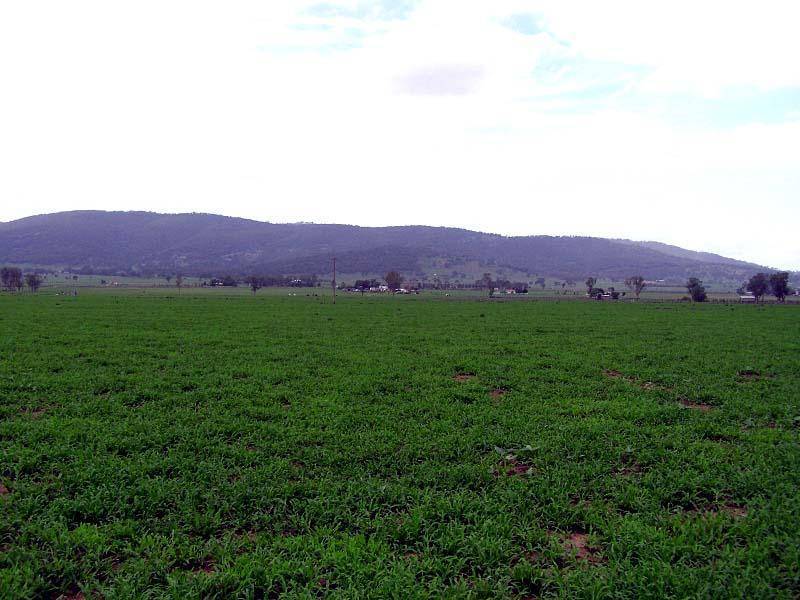 NEW ENGLAND HIGHWAY, Scone NSW 2337