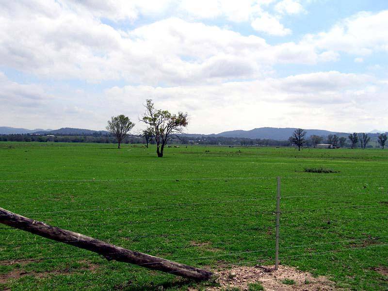 NEW ENGLAND HIGHWAY, Scone NSW 2337