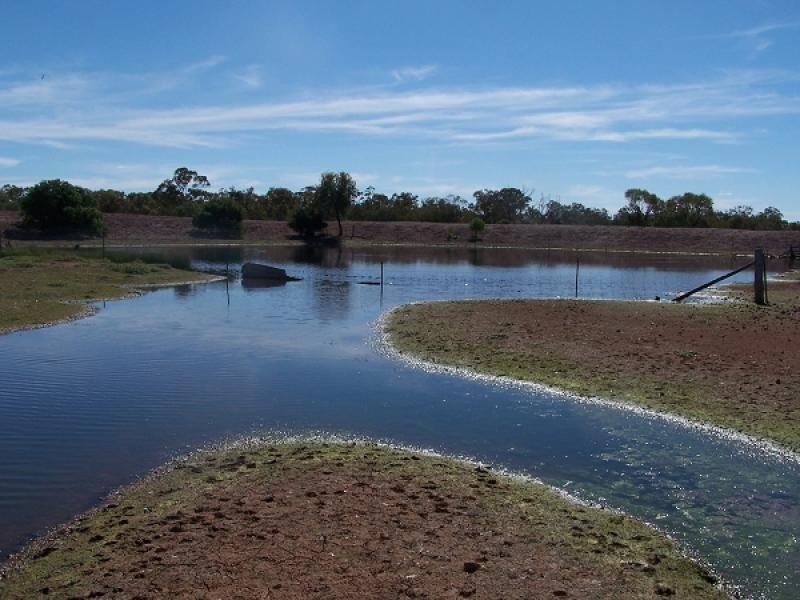 1 BOORAMUGGA ROAD, Canbelego NSW 2835