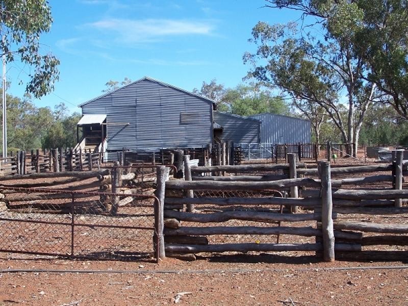 1 BOORAMUGGA ROAD, Canbelego NSW 2835