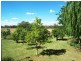 0 Coninimba St, Coonamble NSW 2829