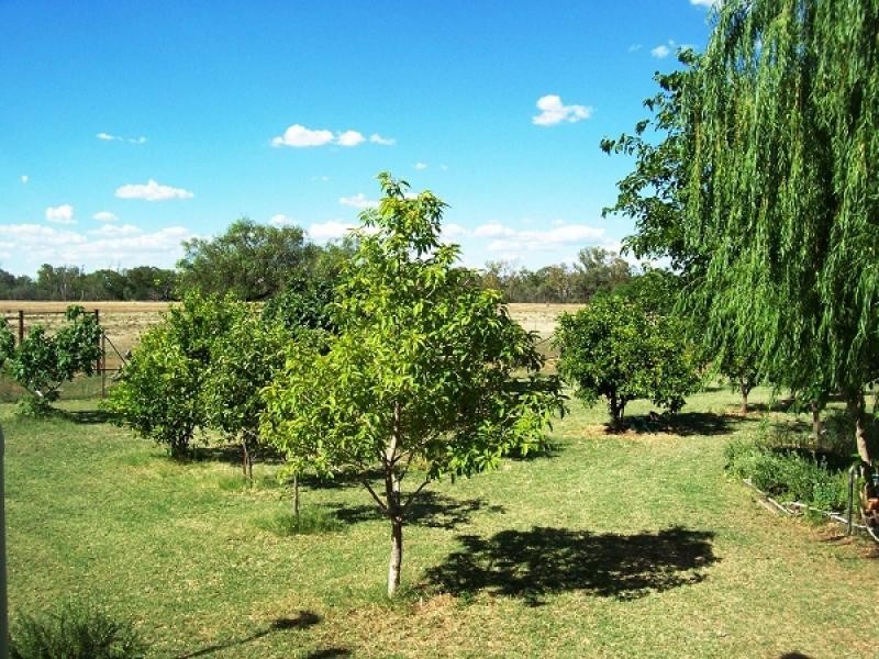 0 Coninimba St, Coonamble NSW 2829