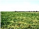 2 KM SOUTH WEST OF BREWARRINA, Brewarrina NSW 2839