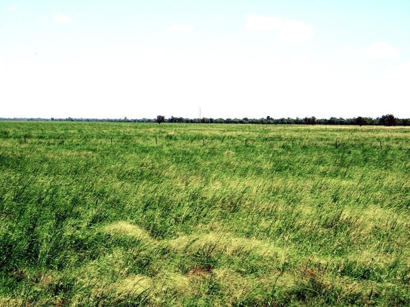 2 KM SOUTH WEST OF BREWARRINA, Brewarrina NSW 2839