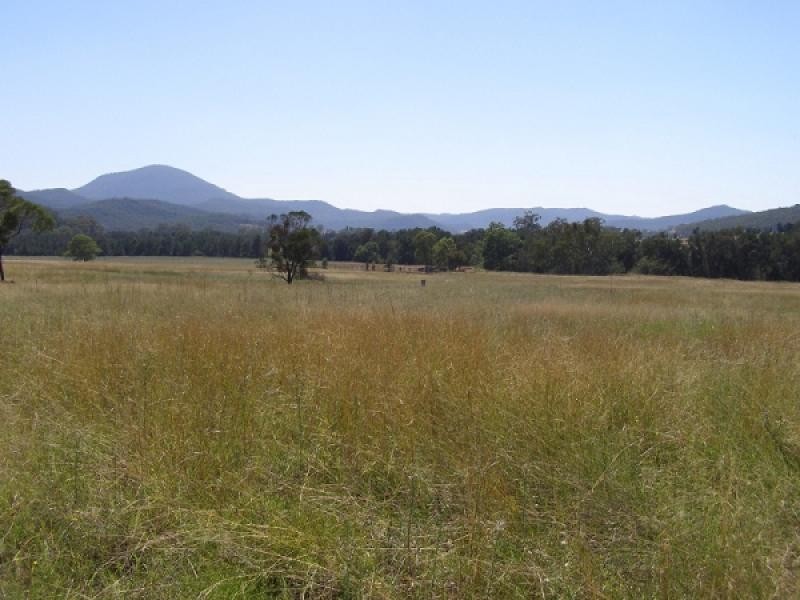 Baerami Creek NSW 2333