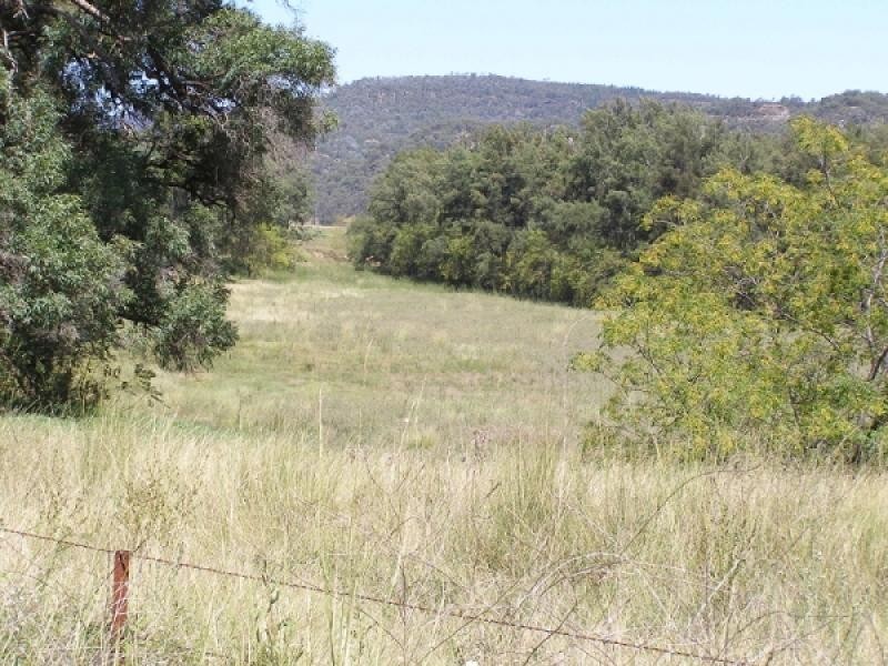 Baerami Creek NSW 2333