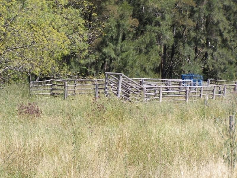 Baerami Creek NSW 2333