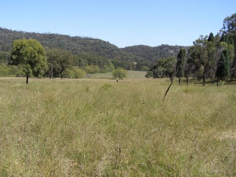 Baerami Creek NSW 2333