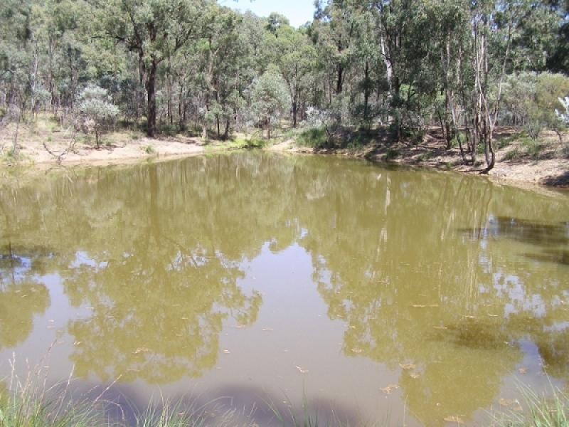 Baerami Creek NSW 2333