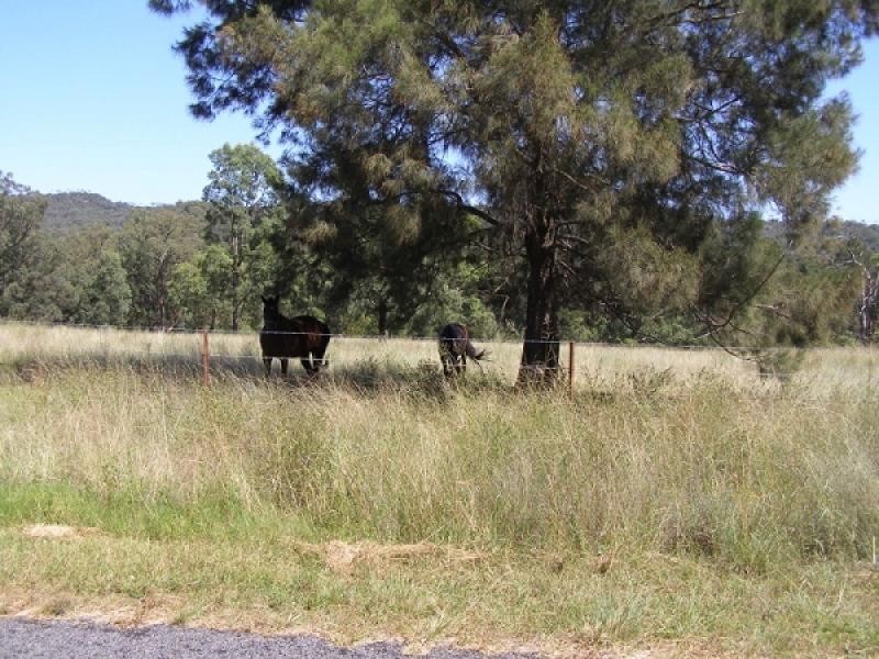 Baerami Creek NSW 2333