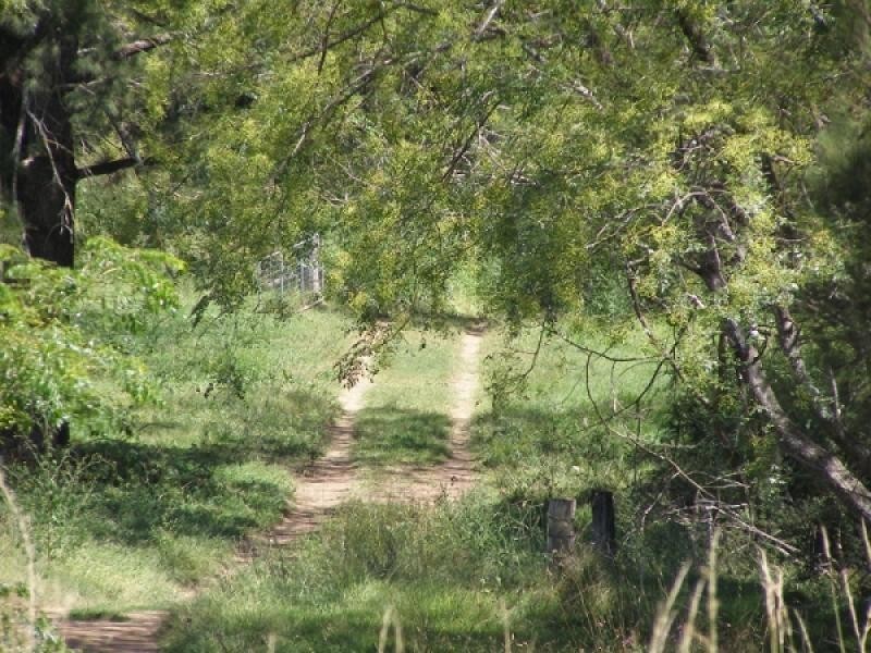 Baerami Creek NSW 2333