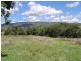 602 Green Creek Road, Scone NSW 2337
