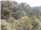 Tallong NSW 2579