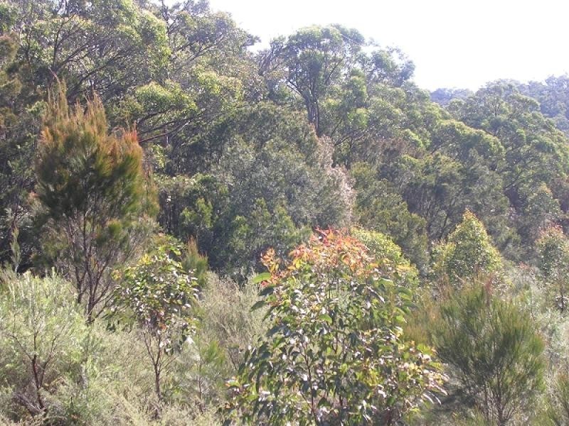 Tallong NSW 2579