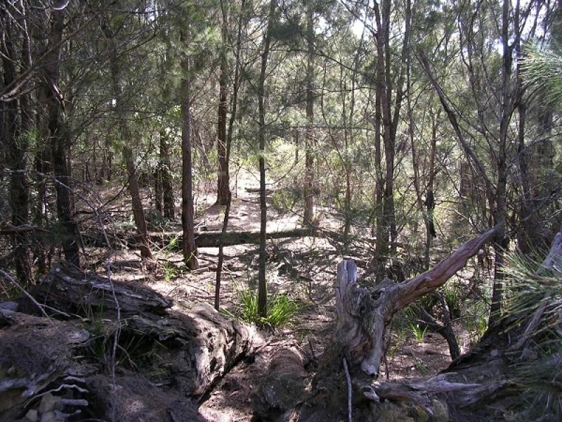 Tallong NSW 2579