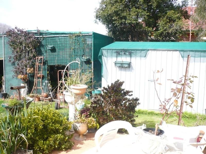 88 Flint Street, Forbes NSW 2871