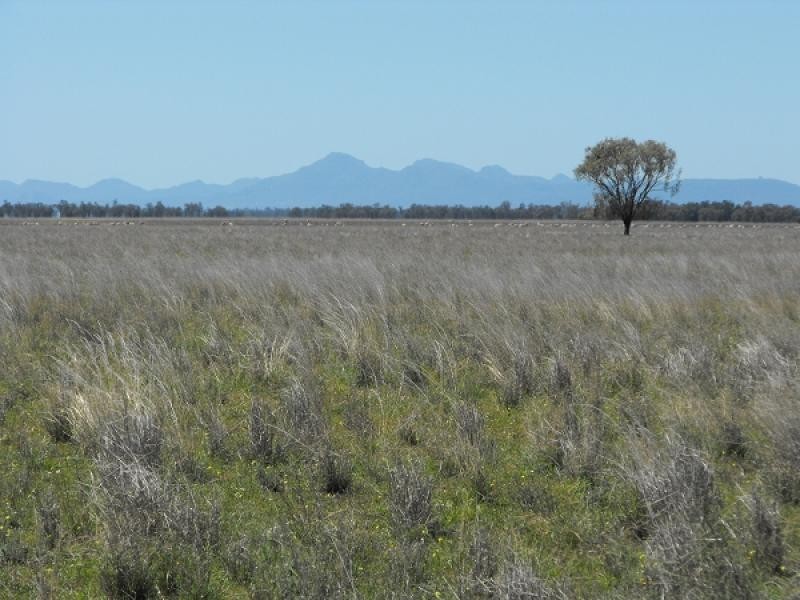Coonamble NSW 2829