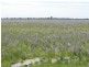 Coonamble NSW 2829
