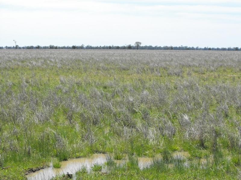 Coonamble NSW 2829